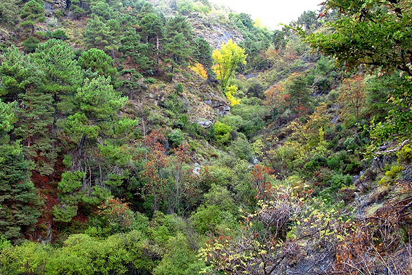 Rio Chico , deep ravines in Alpujarras are rich in nature