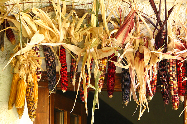 Drying corns in Ferreirola, La Taha