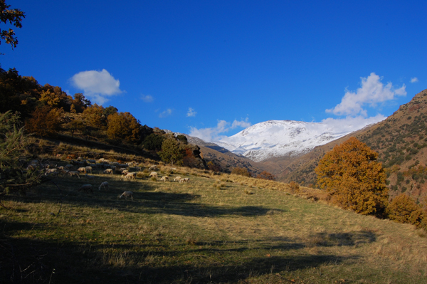 A short walk from Capileira: you see Mulhacen highest peak in Spain