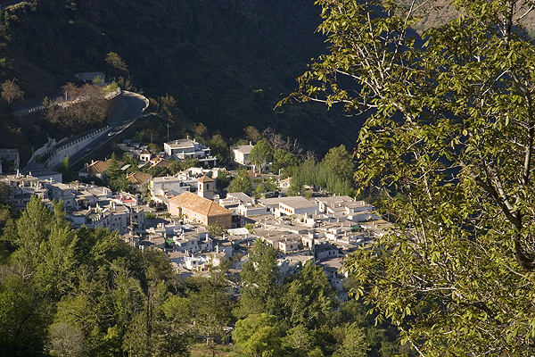 The little village of Pampaneira seen from Bubion