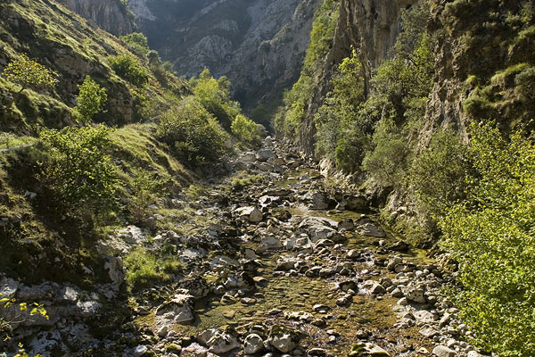 Dramatic Hermida gorge in Cantabria