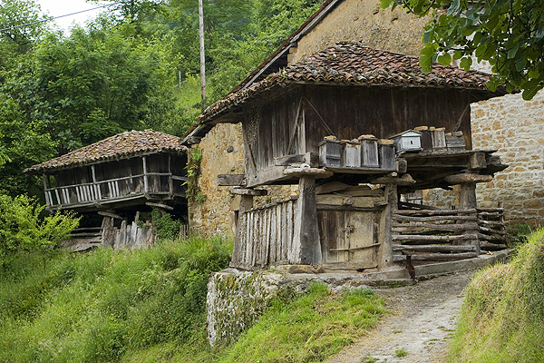 Traditional grain storage in Northern Spain