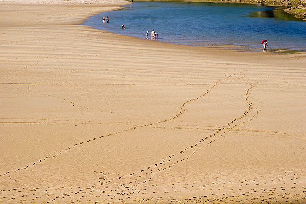 Oyambre sandy beaches near Santander
