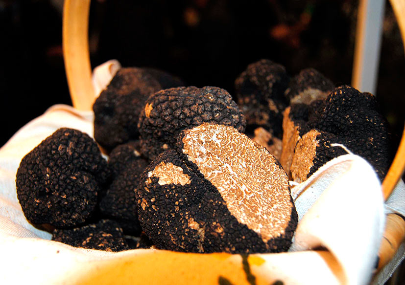 black truffle girona