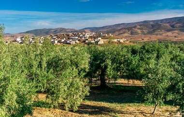 Understanding Andalucia´s Legacy