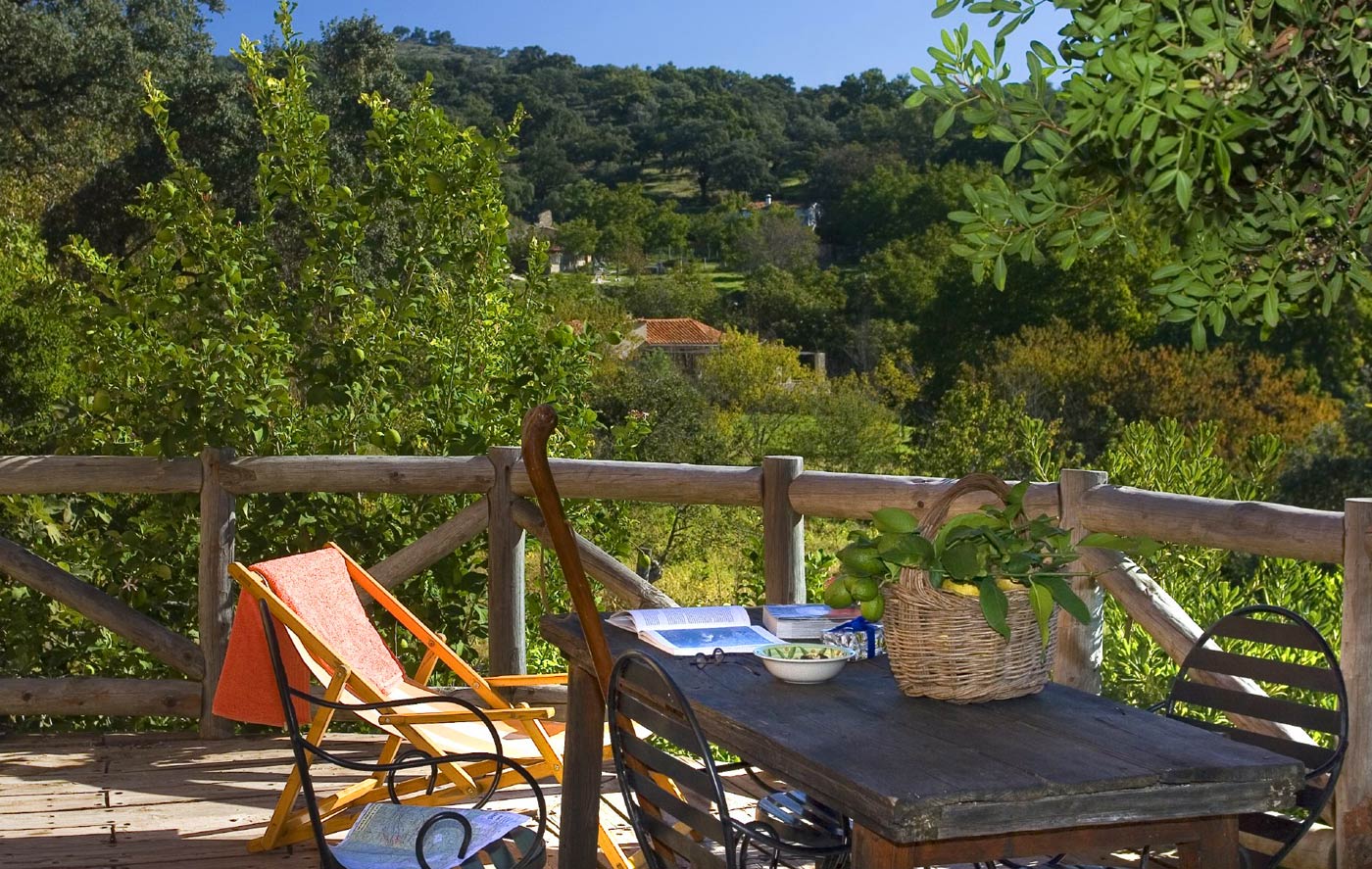 View from the terrace