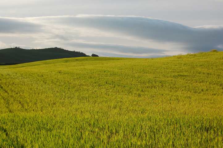 Fields near Grazalema