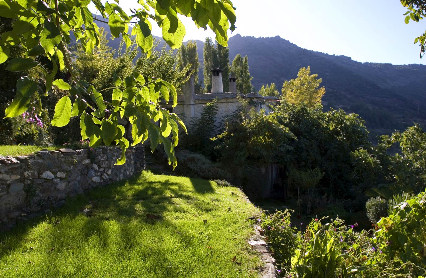 Terraced gardens with amazing views