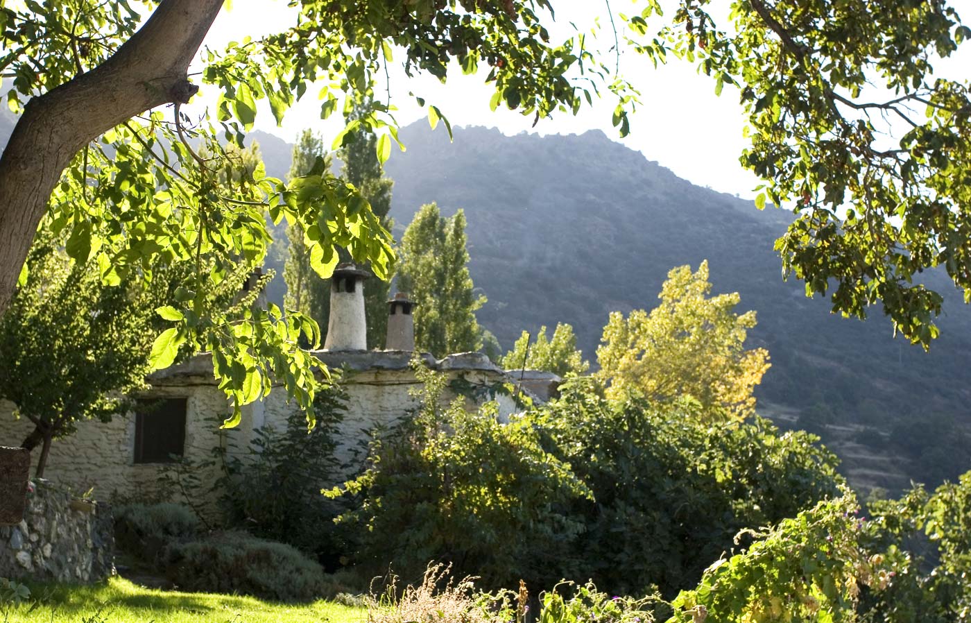 The house seen from gardens