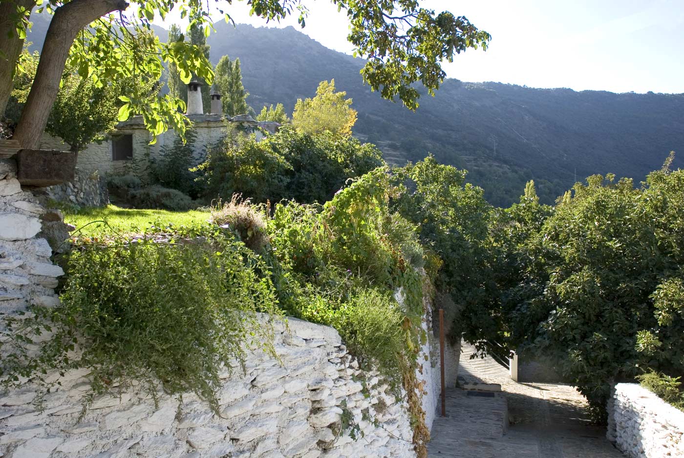 The house seen from below gardens