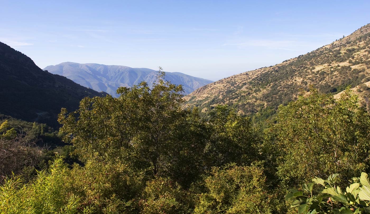 Your views (Summer photo)