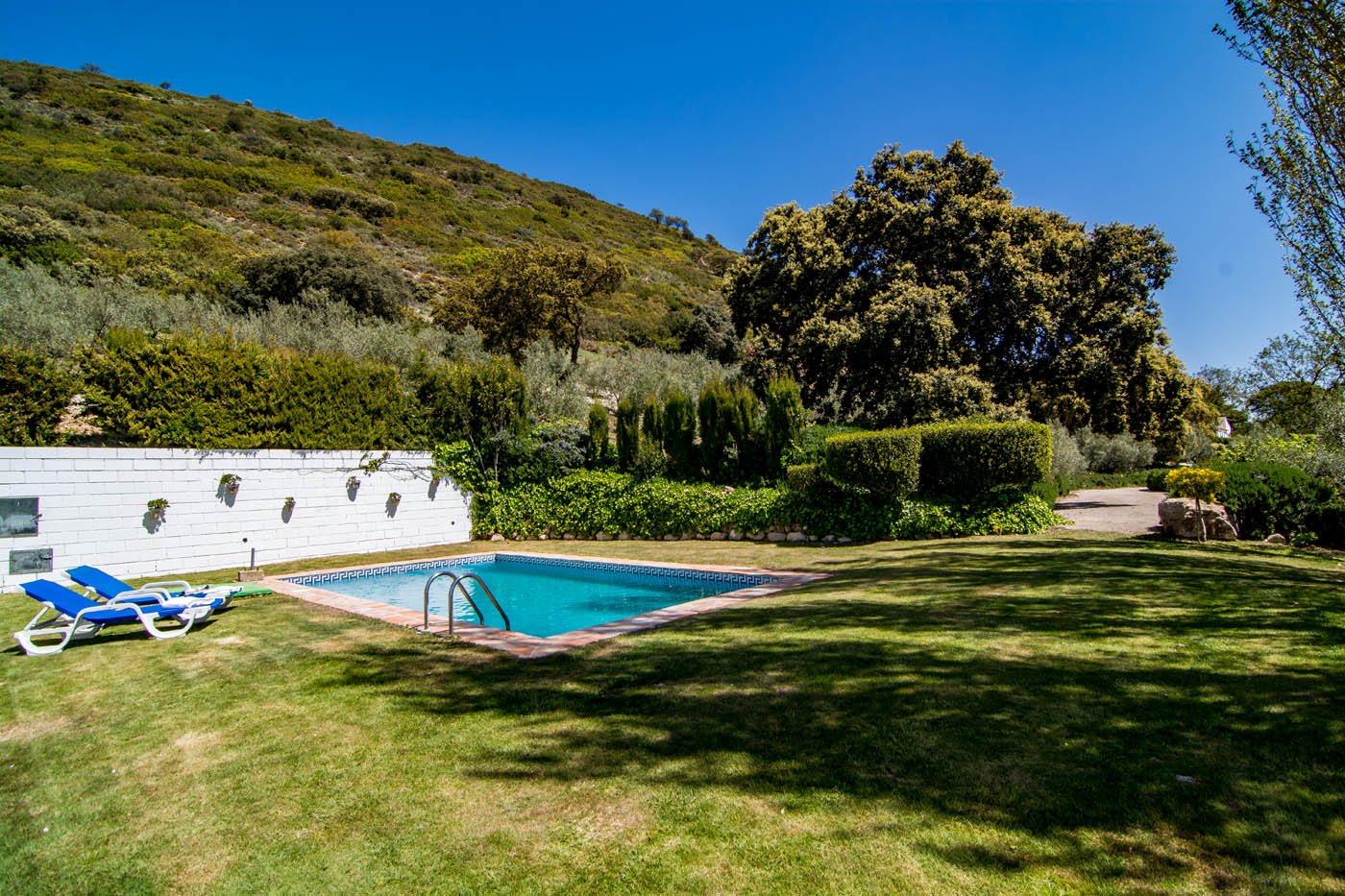 Jardines con césped y zona de piscina