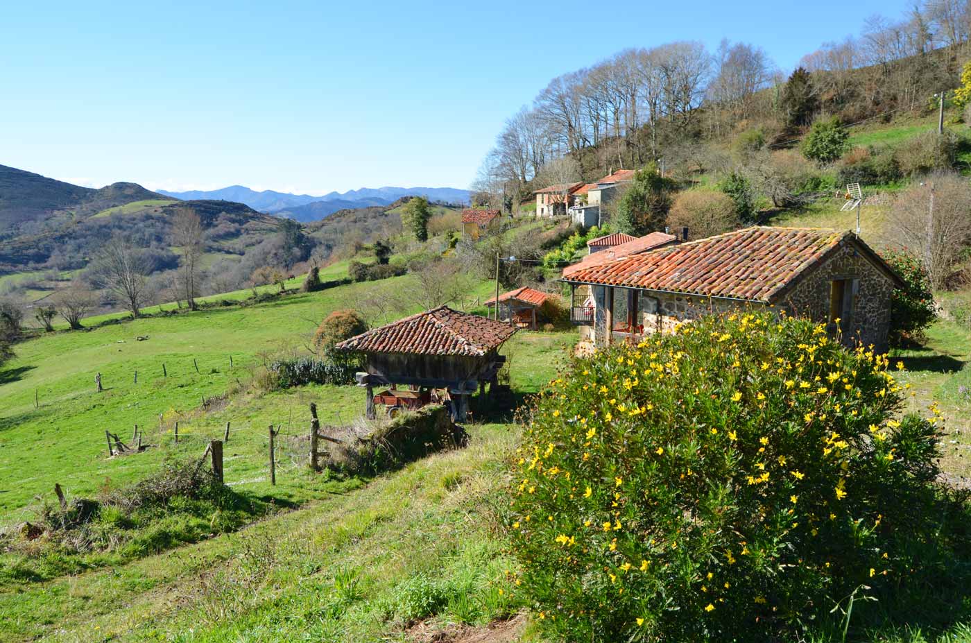 Your holiday cottage is accessed via a short track