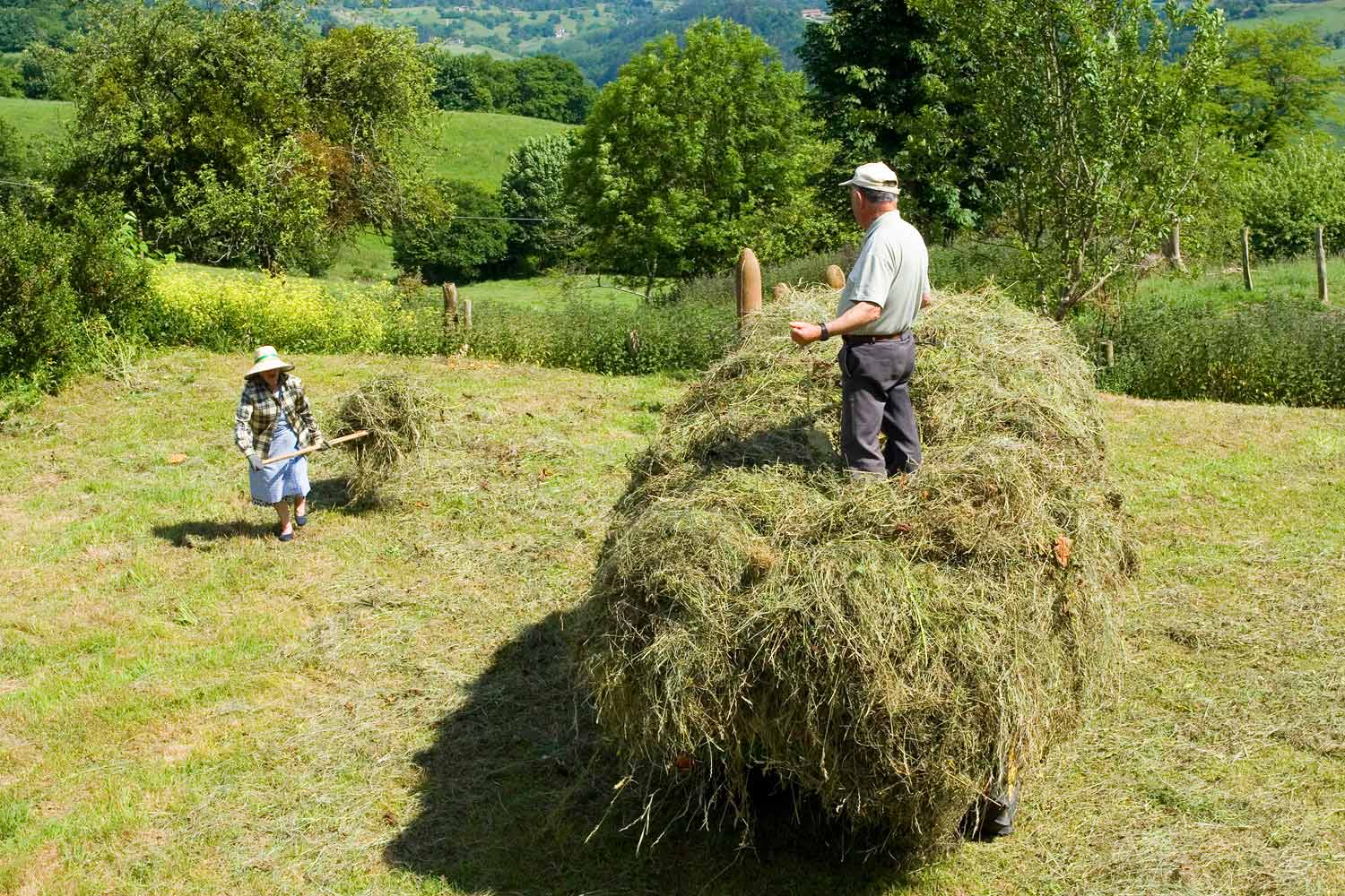 Jardineros preparando jardines de propiedad antes de que comience la temporada