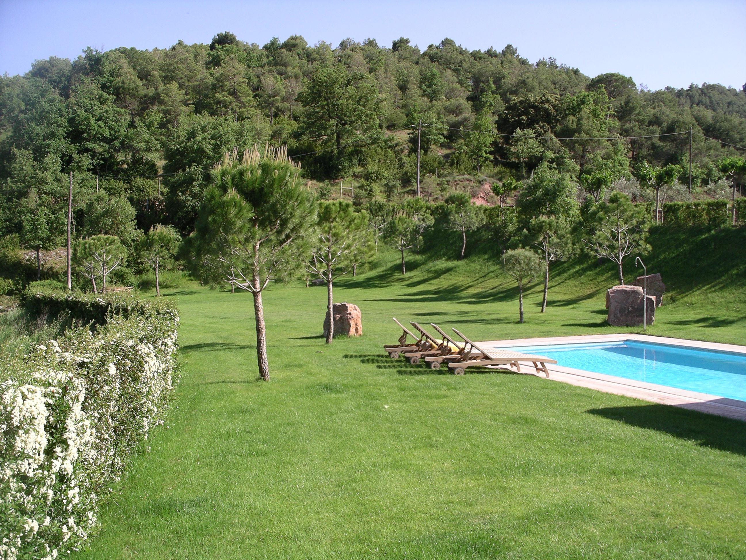 Loungers by the pool