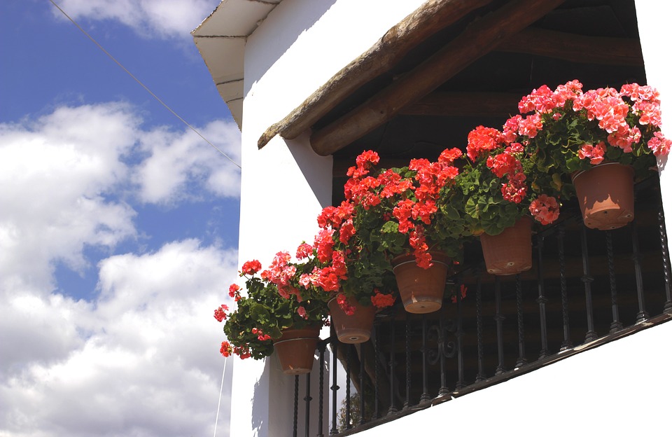 Typical flower pots found in traditional White Villages