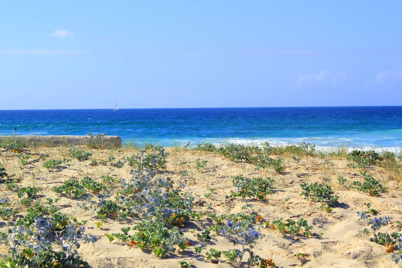 Dunes at Razo-Baldaio, Death Coast, Northern Galicia