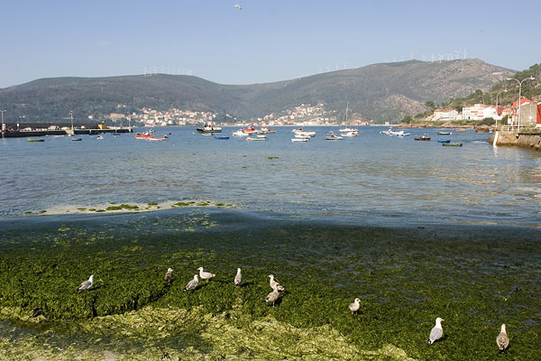 O Pindo in Costa de Morte, Galicia