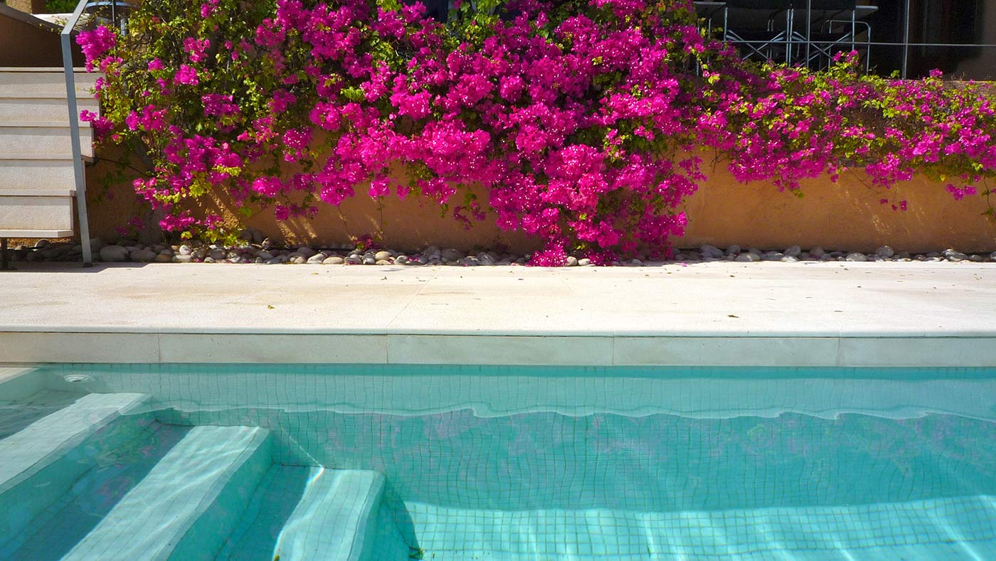 Escaleras para la piscina