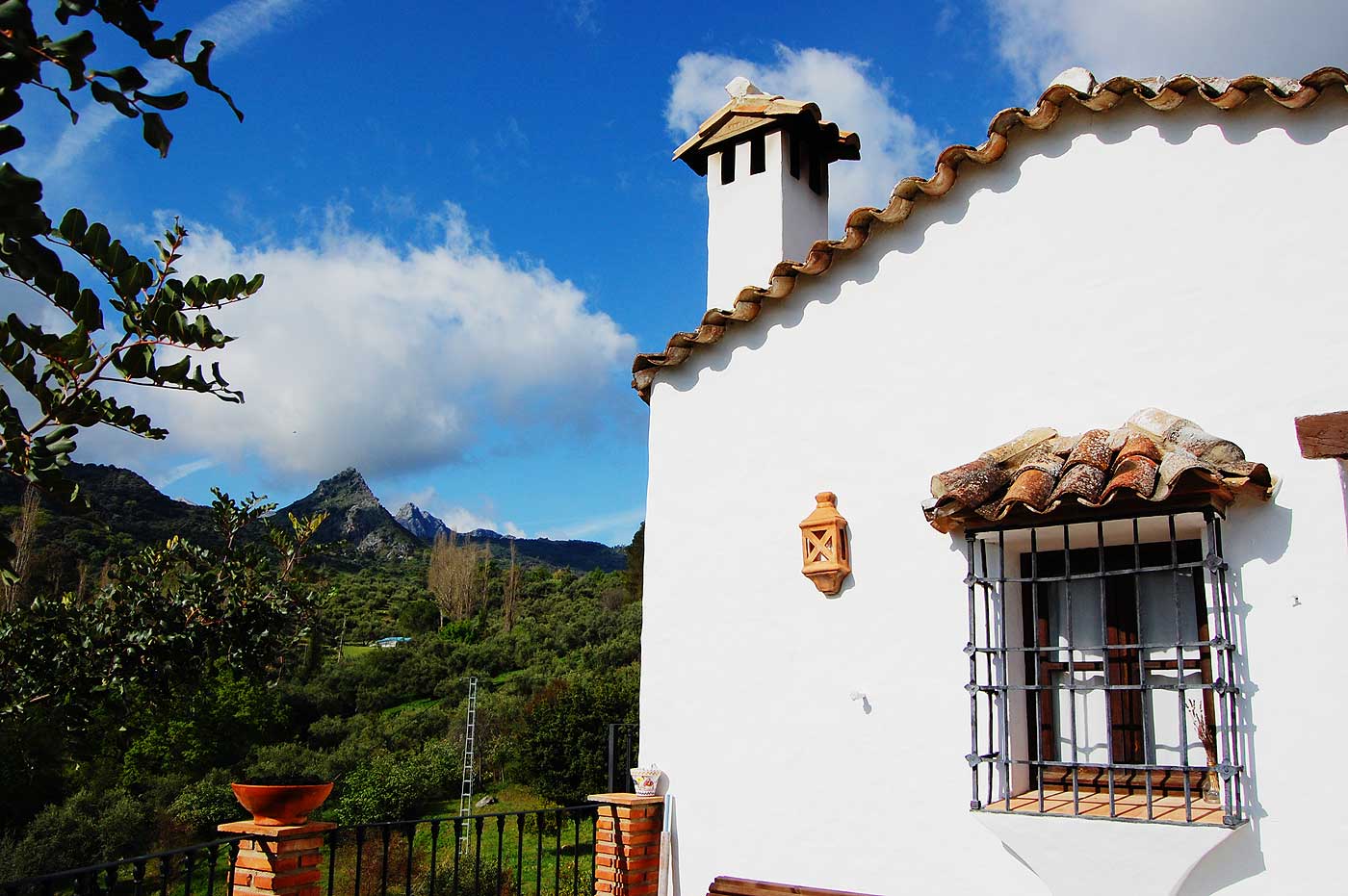 Los picos más altos de Grazalema en la distancia 