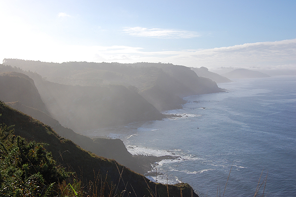 Dinosaur coast