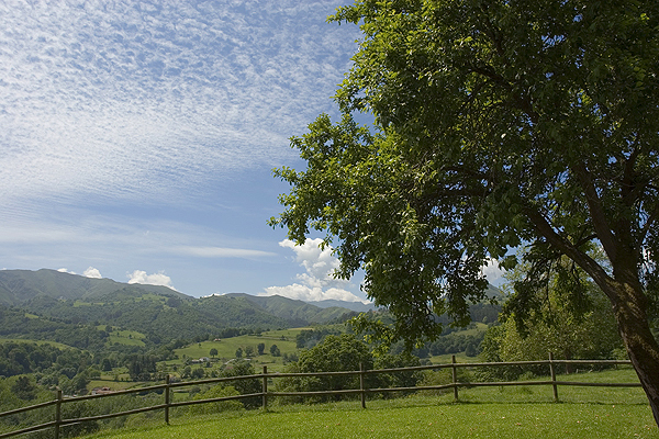 Typical views (photo taken in the Cider country, Piloña)