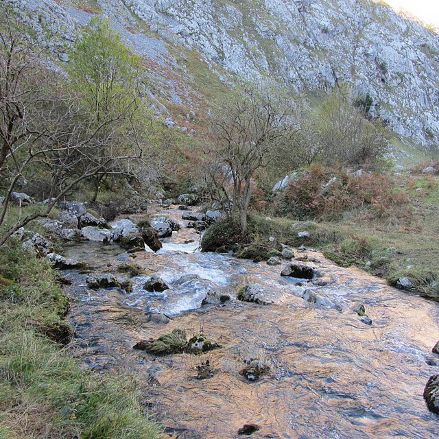 Rivers in Picos mountains