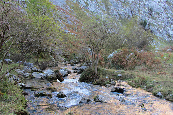 Rivers in Picos mountains