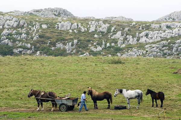 Traditional farming near Cuevas de Mar