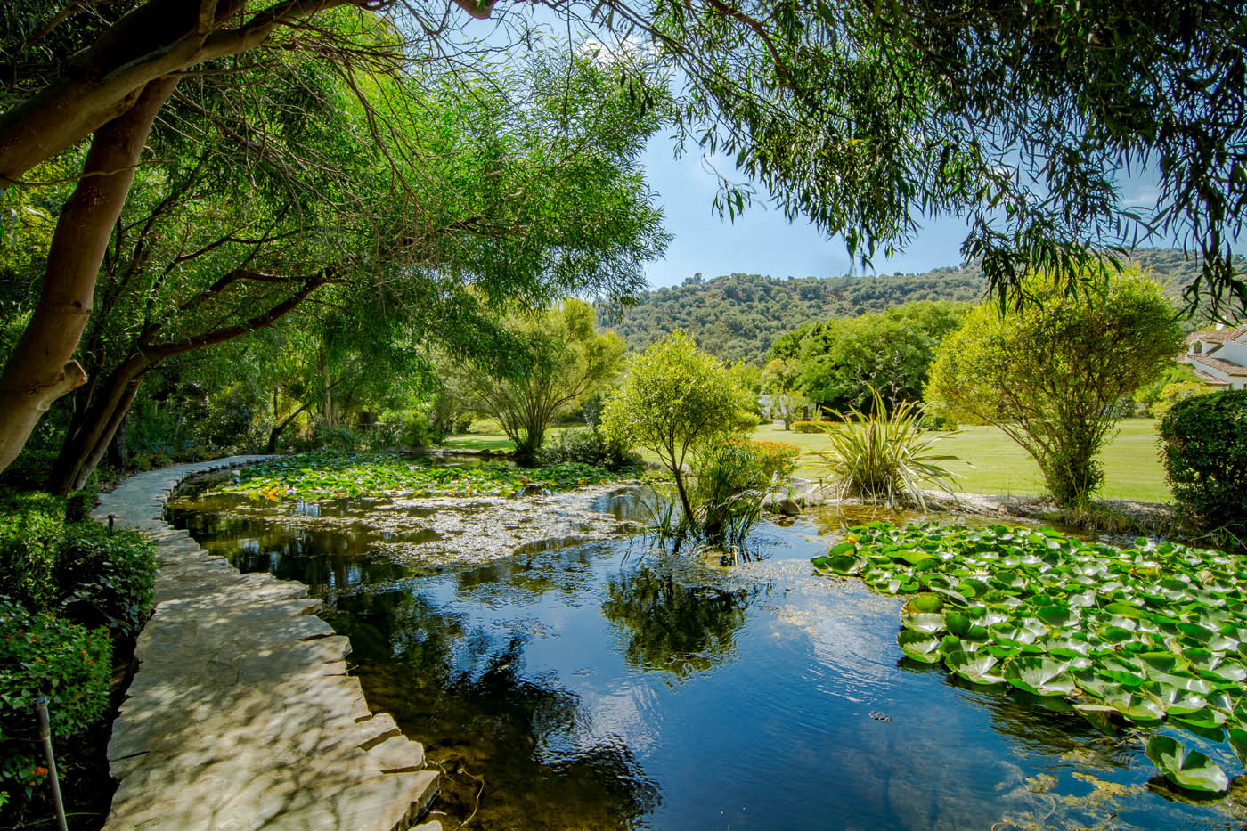 Find your favourite corner