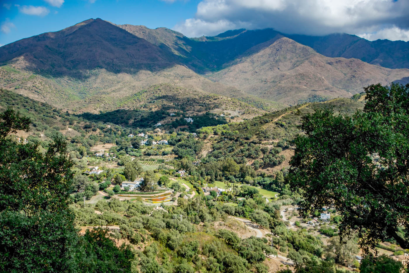 Your location at Acedia valley