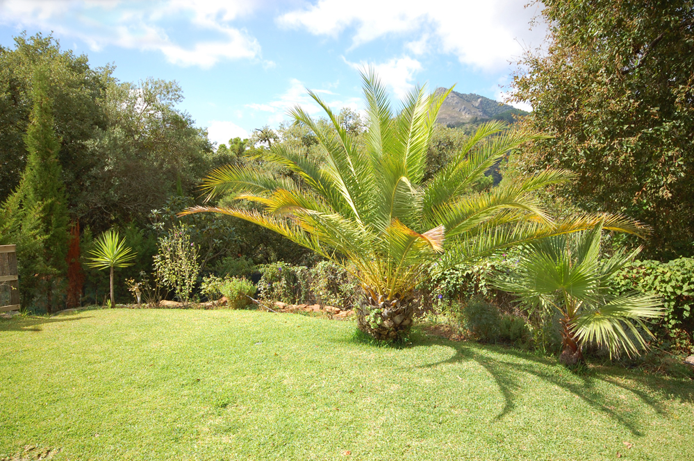 Garden with Hacho mountain as backdrop