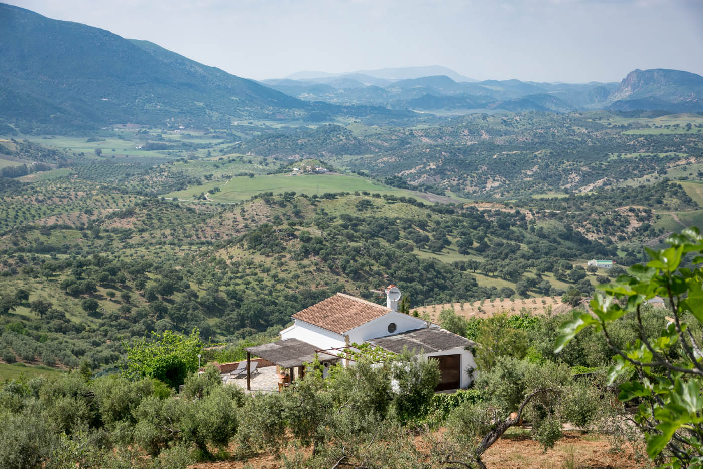 Un hermoso escenario al borde de las montañas Grazalema