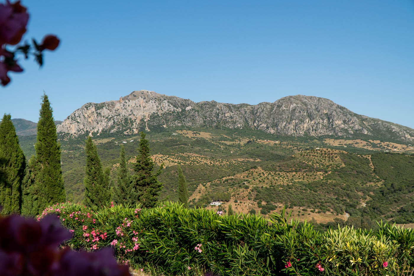 Mirando hacia la Sierra Crestellina