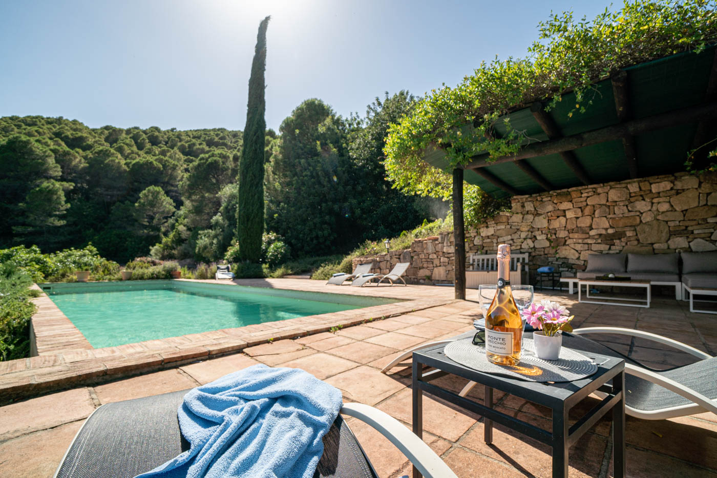 Toma el sol en este entorno boscoso 