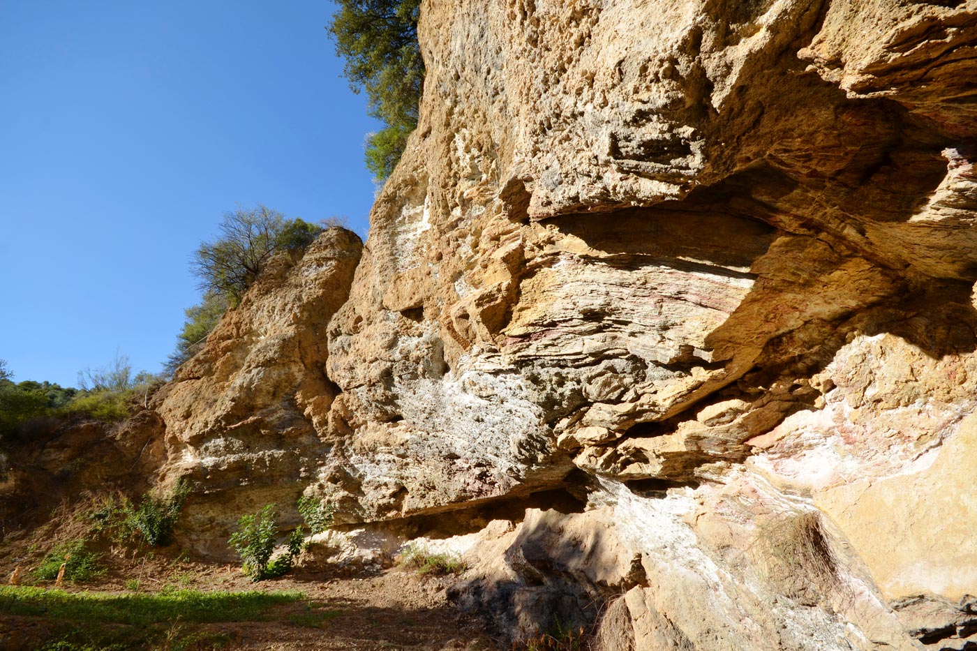 Paseo a una pequeña cueva 