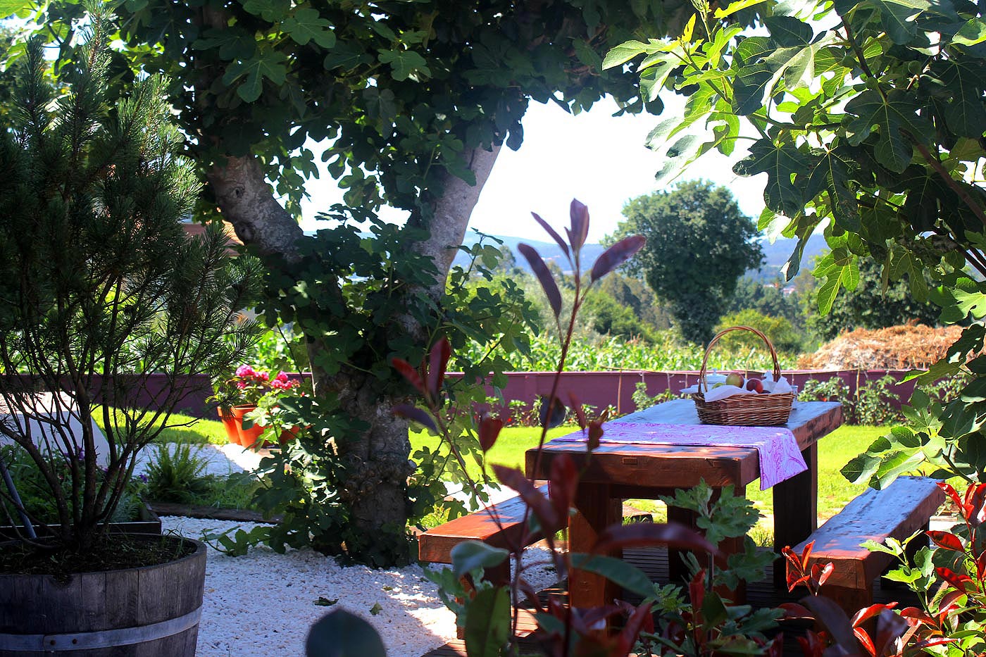 An intimate spot for outdoor meals