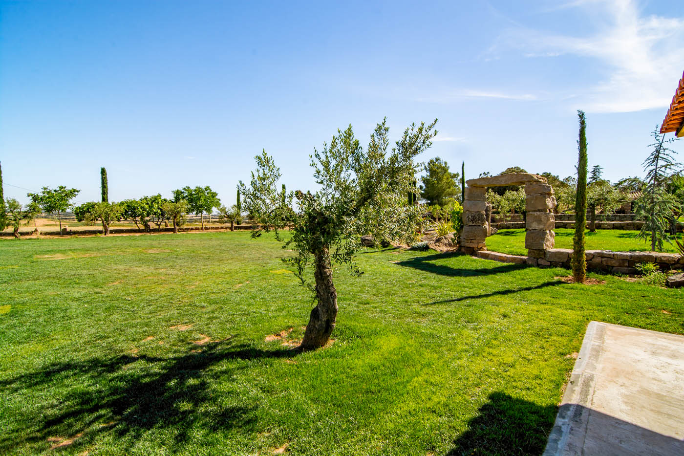 Large private gardens at the back