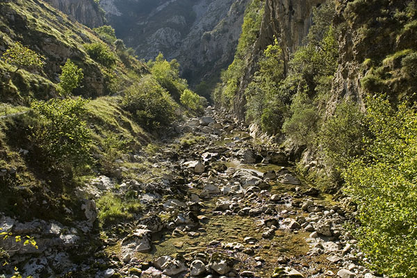 Hermida gorge