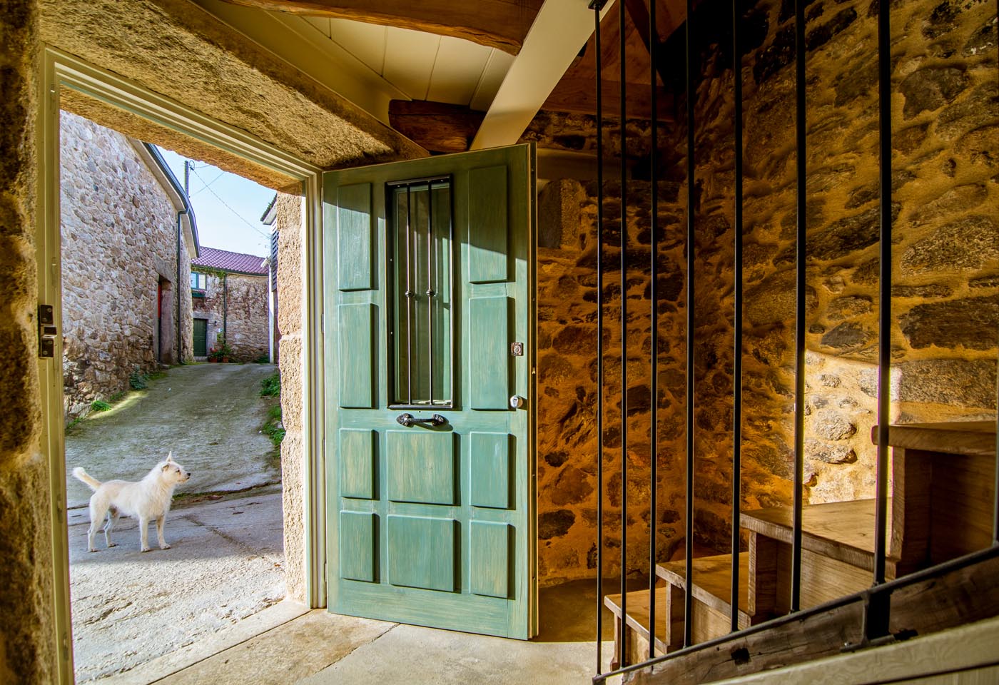 Friendly dogs hang around the little village