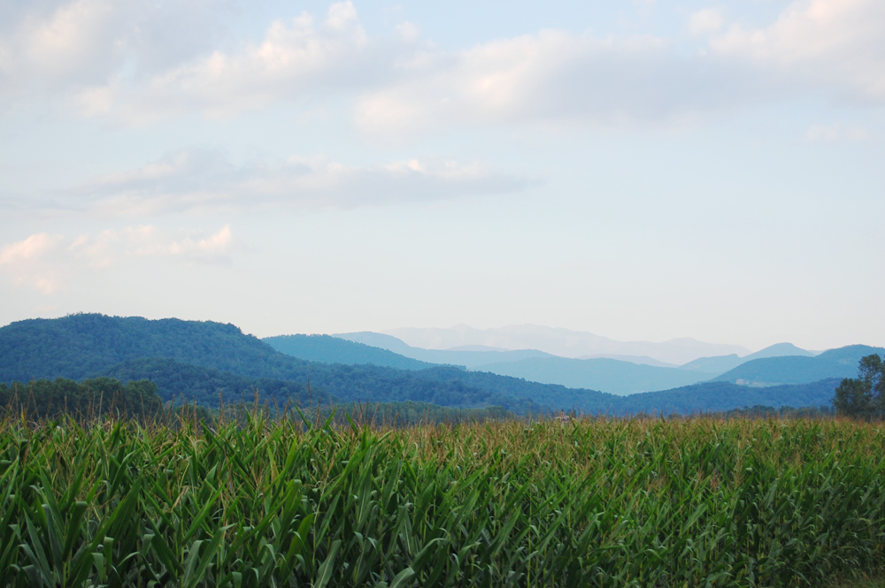 Pyrenees backdrop from Girona flatlands