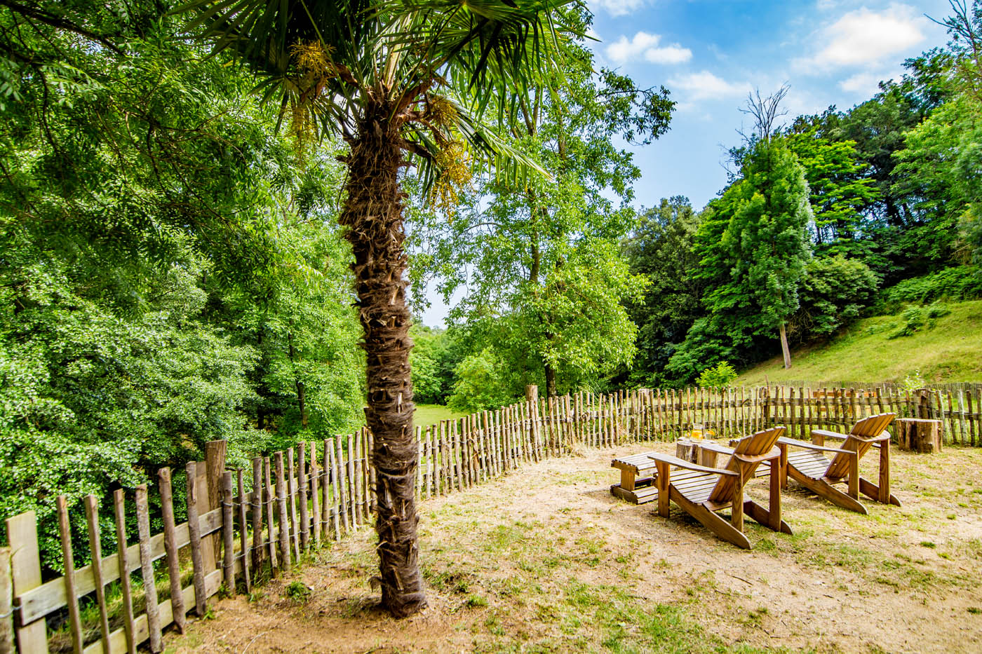 Vegetación por todas partes