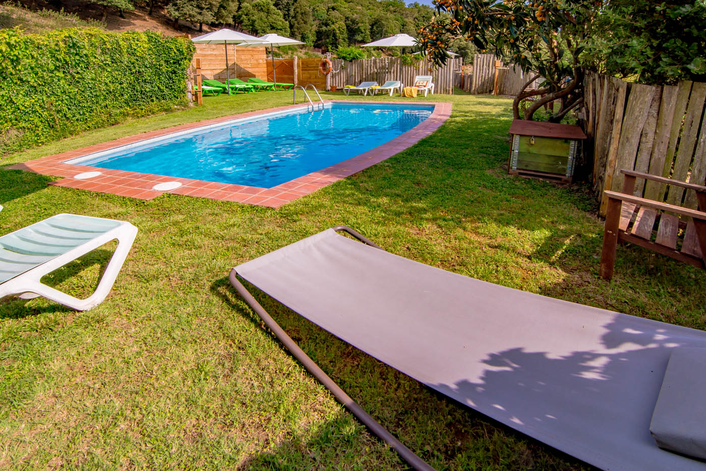 Piscina con tumbonas