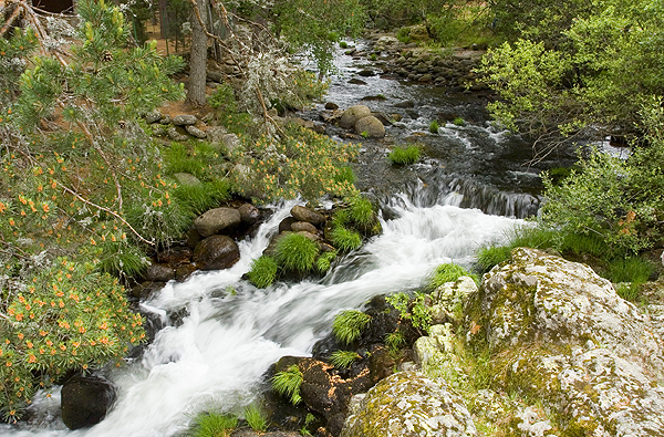 Lozoya river in the Guadarrama mountains