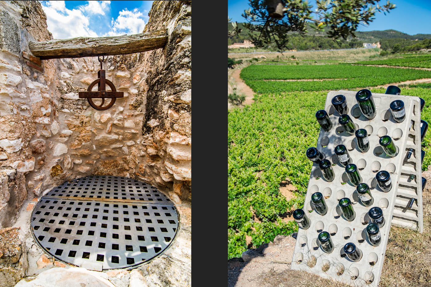 Detalles llegando a la propiedad 