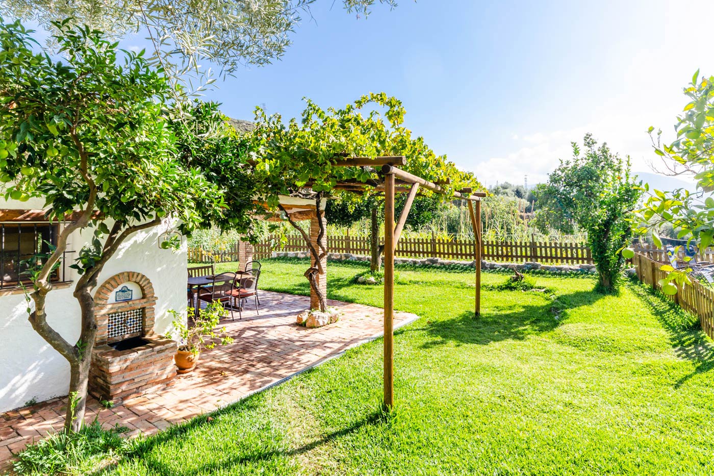 Pergola shaded by vine