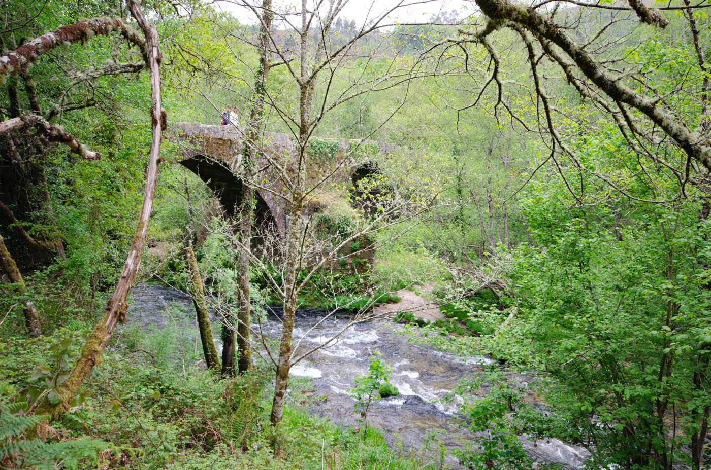 Walk to the river for wild swims in about 15 minutes