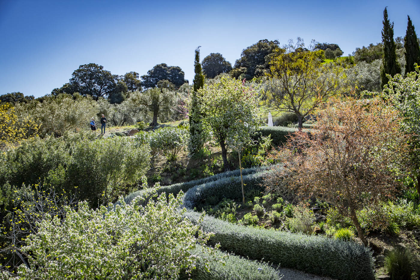 Lovely short stroll from villa to pool area