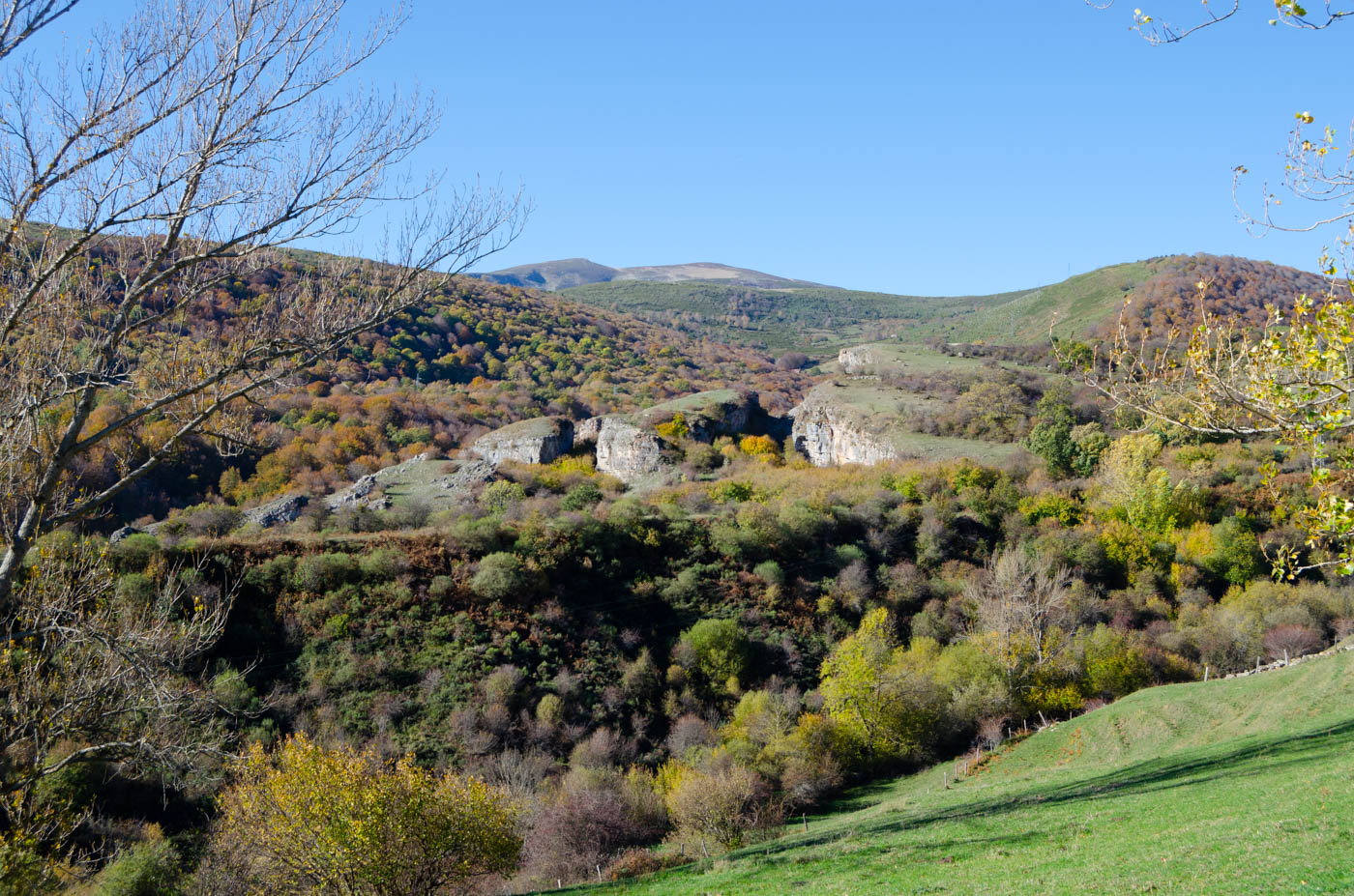 Views from your cottage