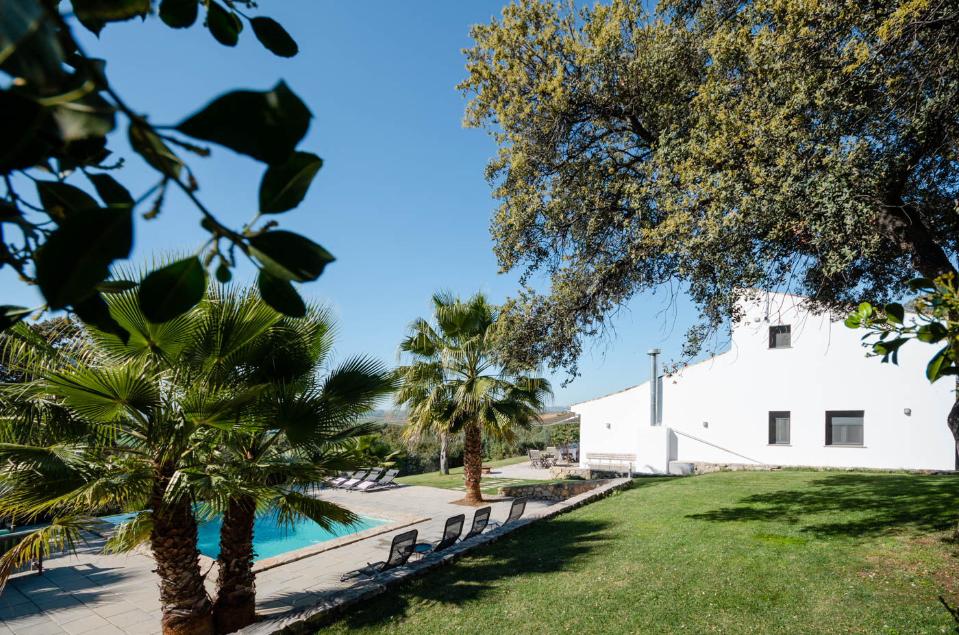 Jardines con césped